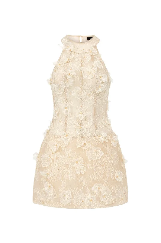 AURELIA LACE DRESS IN BEIGE Crew Neckline Casual