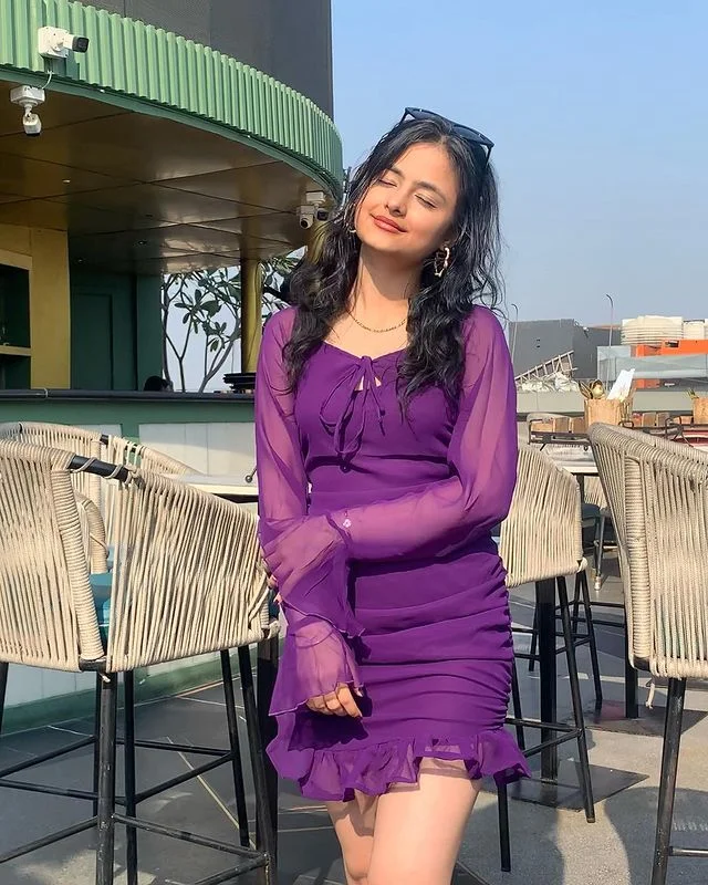 Gemstone purple dress